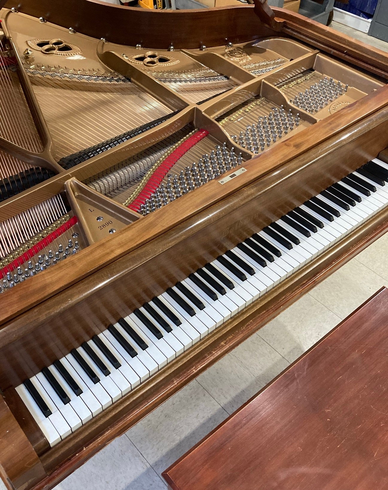 WEIGHING OFF THE GRAND ACTION - Part 5