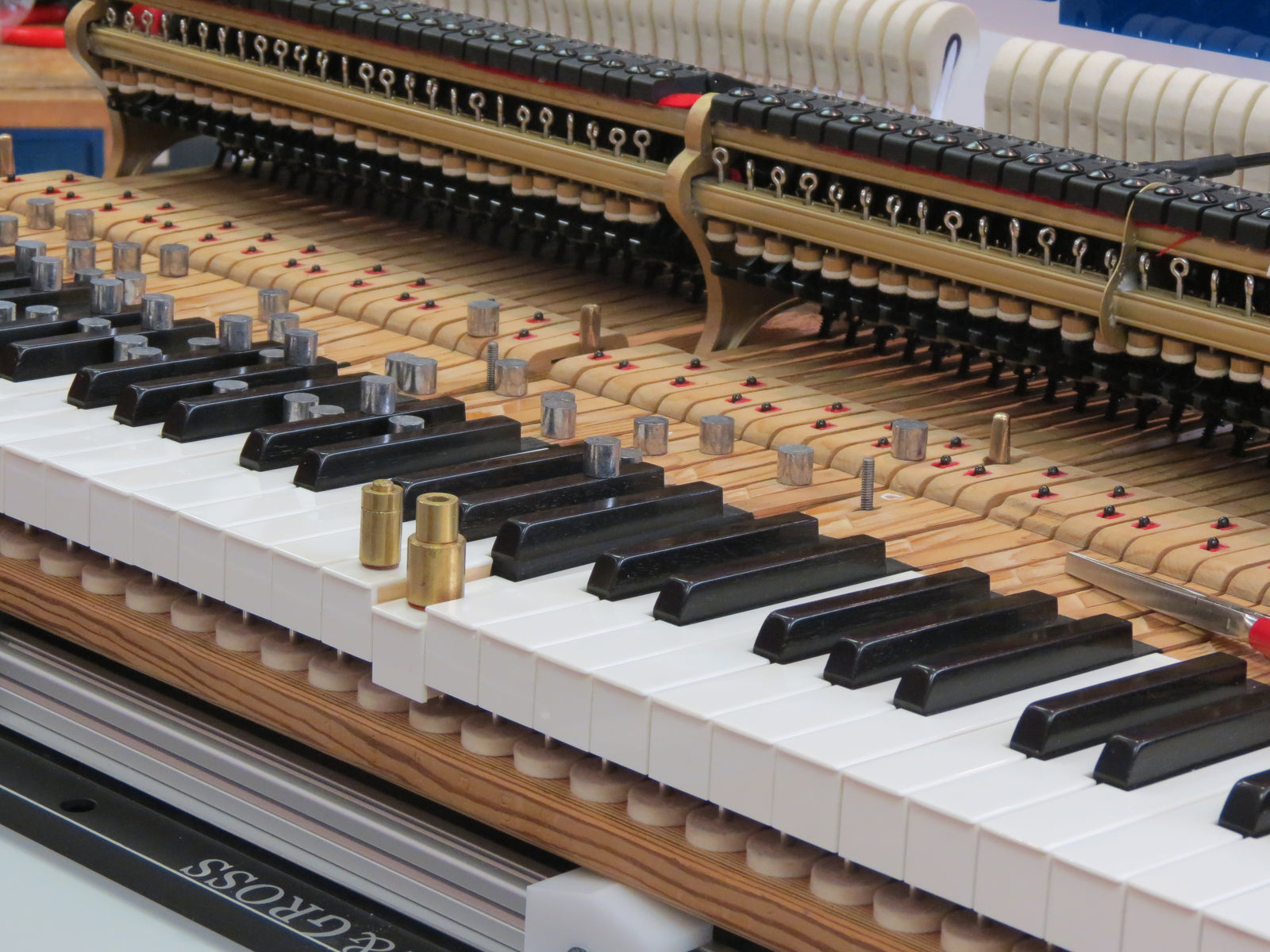 WEIGHING OFF THE GRAND ACTION – Part 1