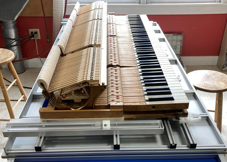 WEIGHING OFF THE GRAND ACTION - Part 6