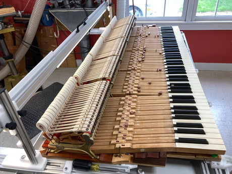 Weighing Off the Grand Action - Part 10