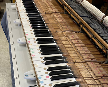 KS 20: Key Leveling on the Bench