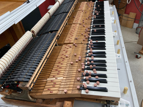 WEIGHING OFF THE GRAND ACTION - Part 4