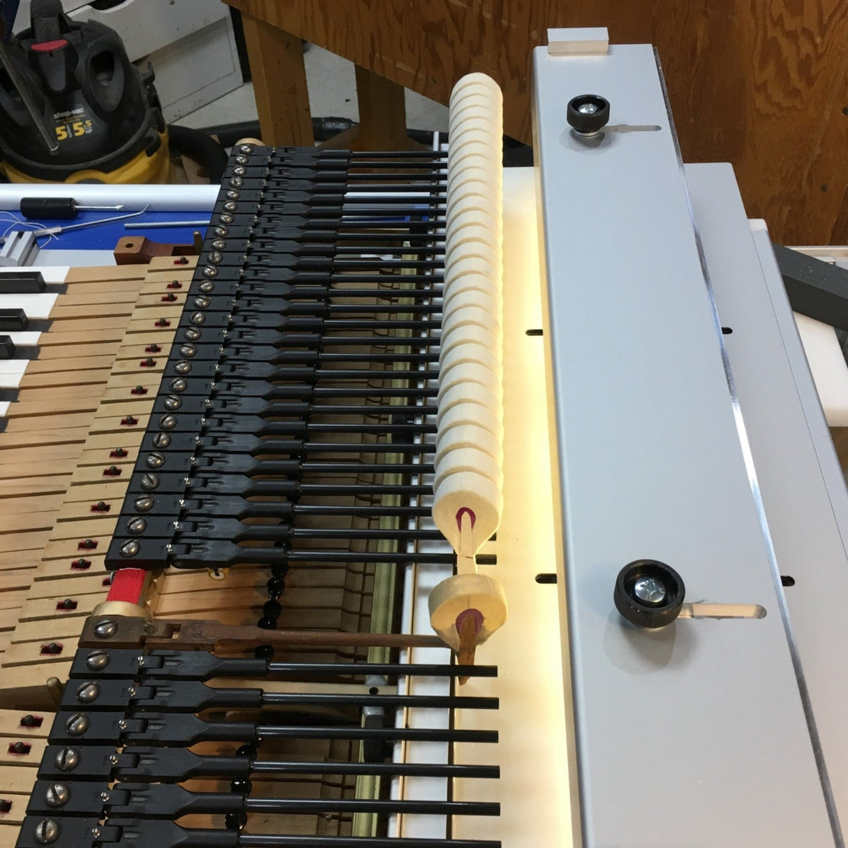 Hammer Hanging Bundle