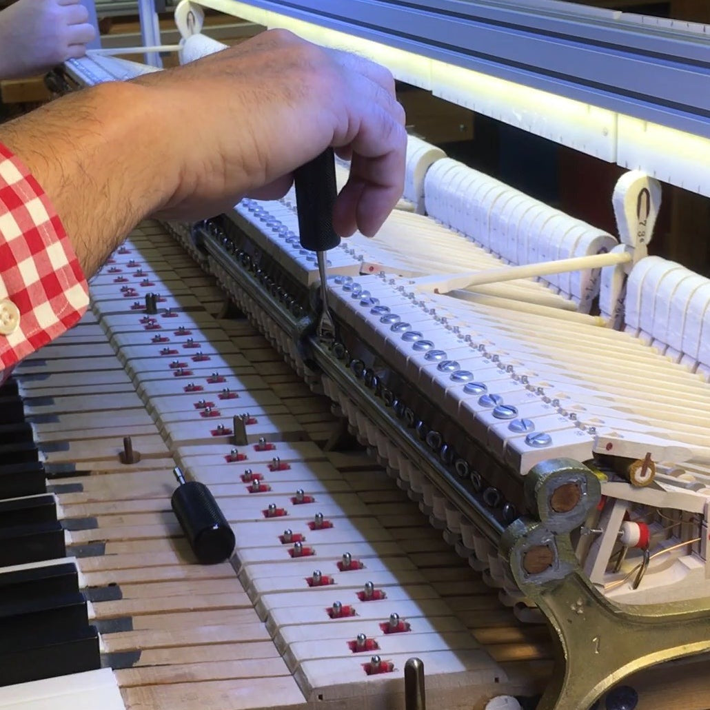 Regulation Station Deluxe Training